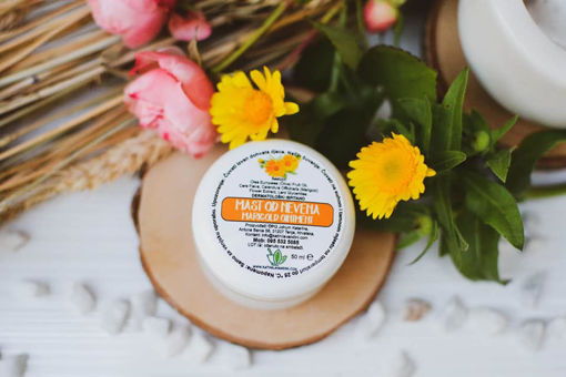 Slika Mast od nevena 50ml